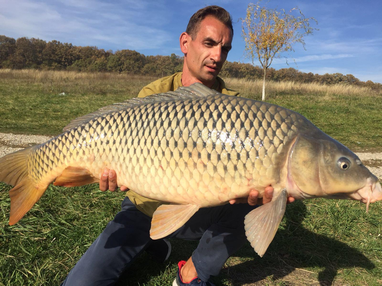 Fish - 3c2d70ab-5e32-4693-9501-8f045b67c788.jpeg